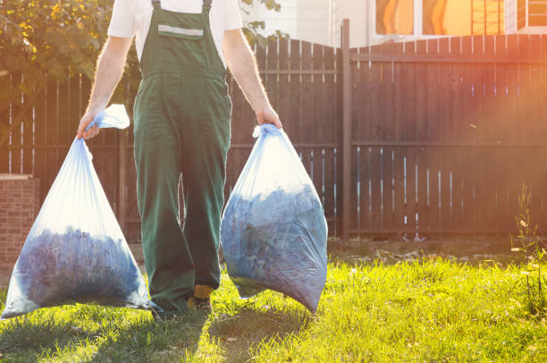 Best Dumpster Rental Services  in Mount Vernon, IA